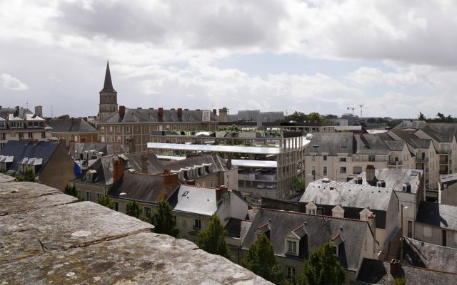 dealzua architectes