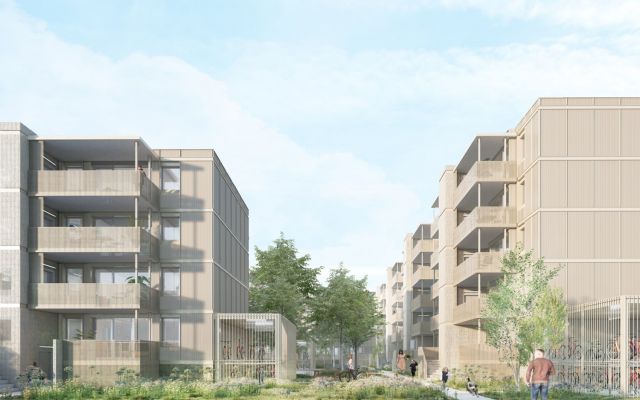 dealzua architectes