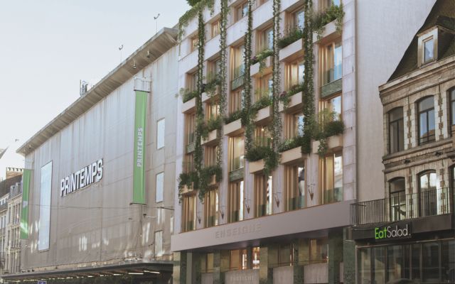 dealzua architectes