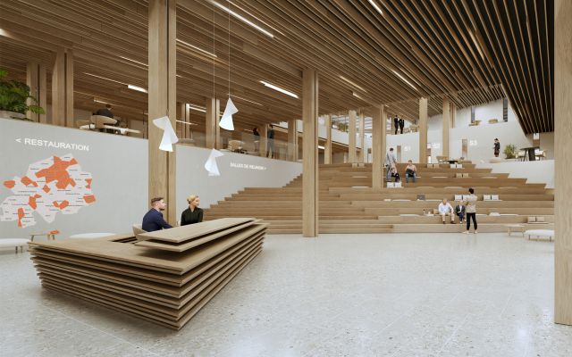 dealzua architectes